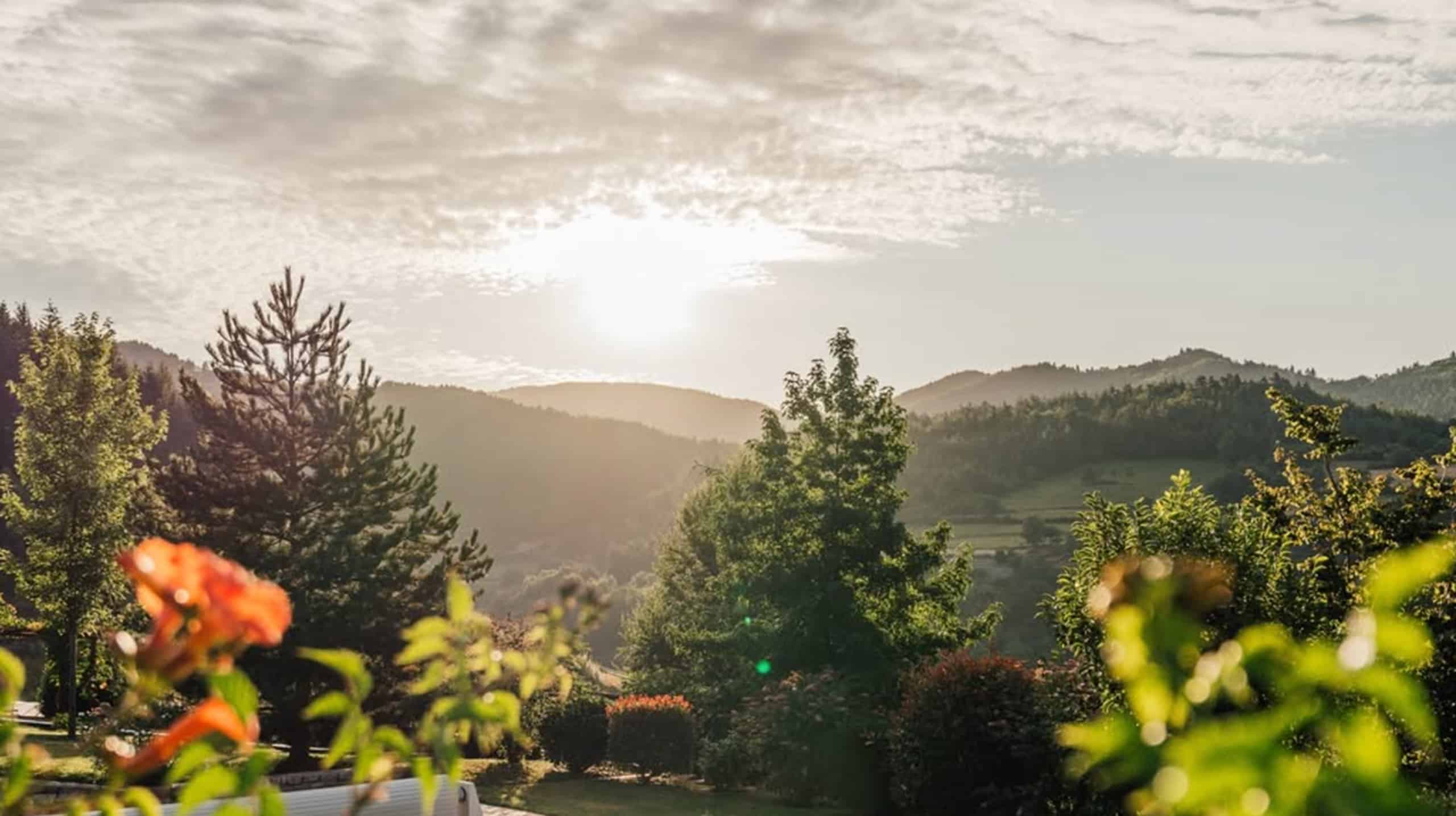 A rolling, wooded landscape is bathed in bright sunlight beneath a cloudy sky. Trees and a blurry orange flower appear in the foreground.
